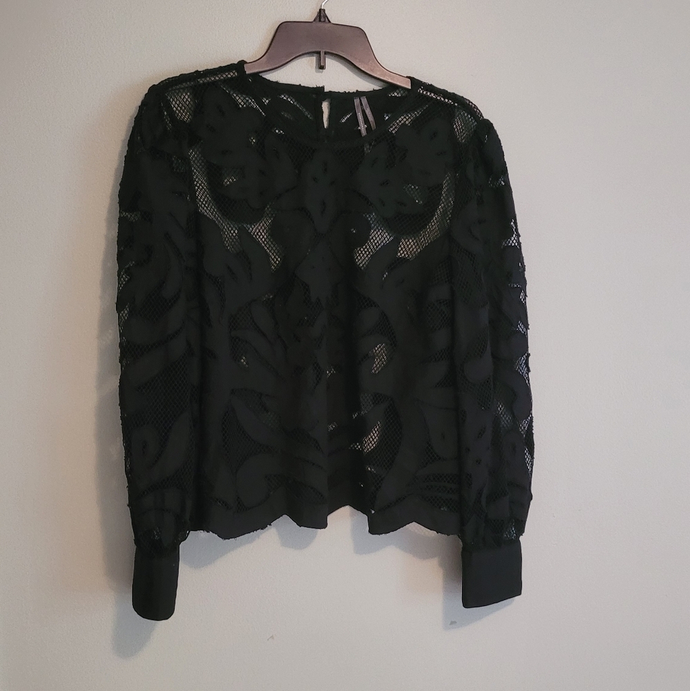 Anthropologie Lace Longsleeve Crop Top
